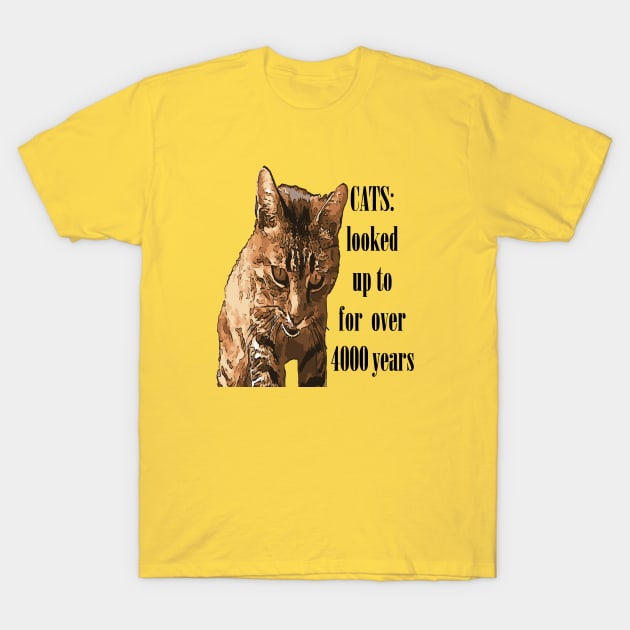 Cats Looked Up To For Over 4000 Years T-Shirt by taiche